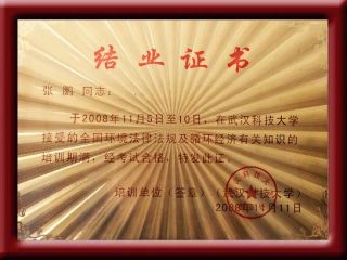 公司法人證書